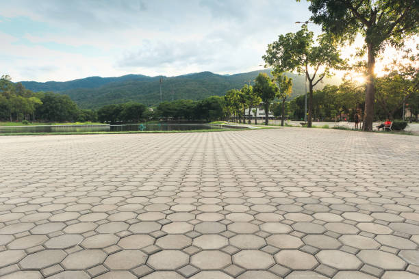 Best Custom Driveway Pavers  in Pleasure Point, CA